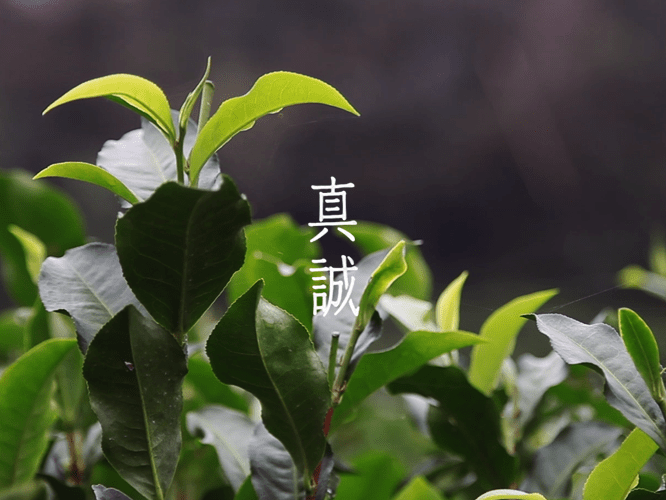 十八養場-關於我們