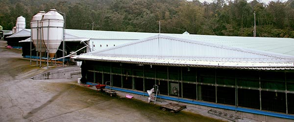 十八養場